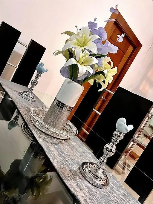 Outstanding Pent House W/Jacuzzi Apartment Santiago De Los Caballeros
